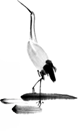 微信圖片_20201026113202.png